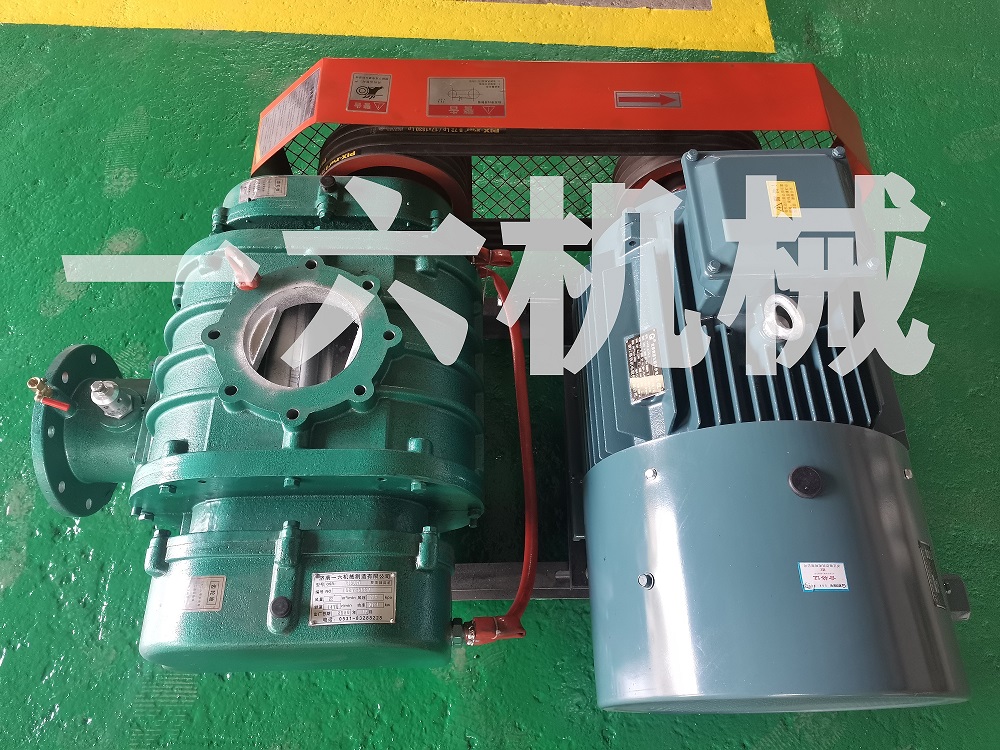 1634542808808615.jpg IMG_20201030_132909.jpg