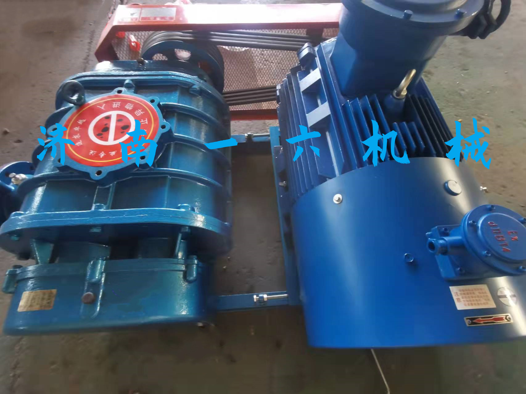 1646374775111513.jpg 1646374775111513.jpg