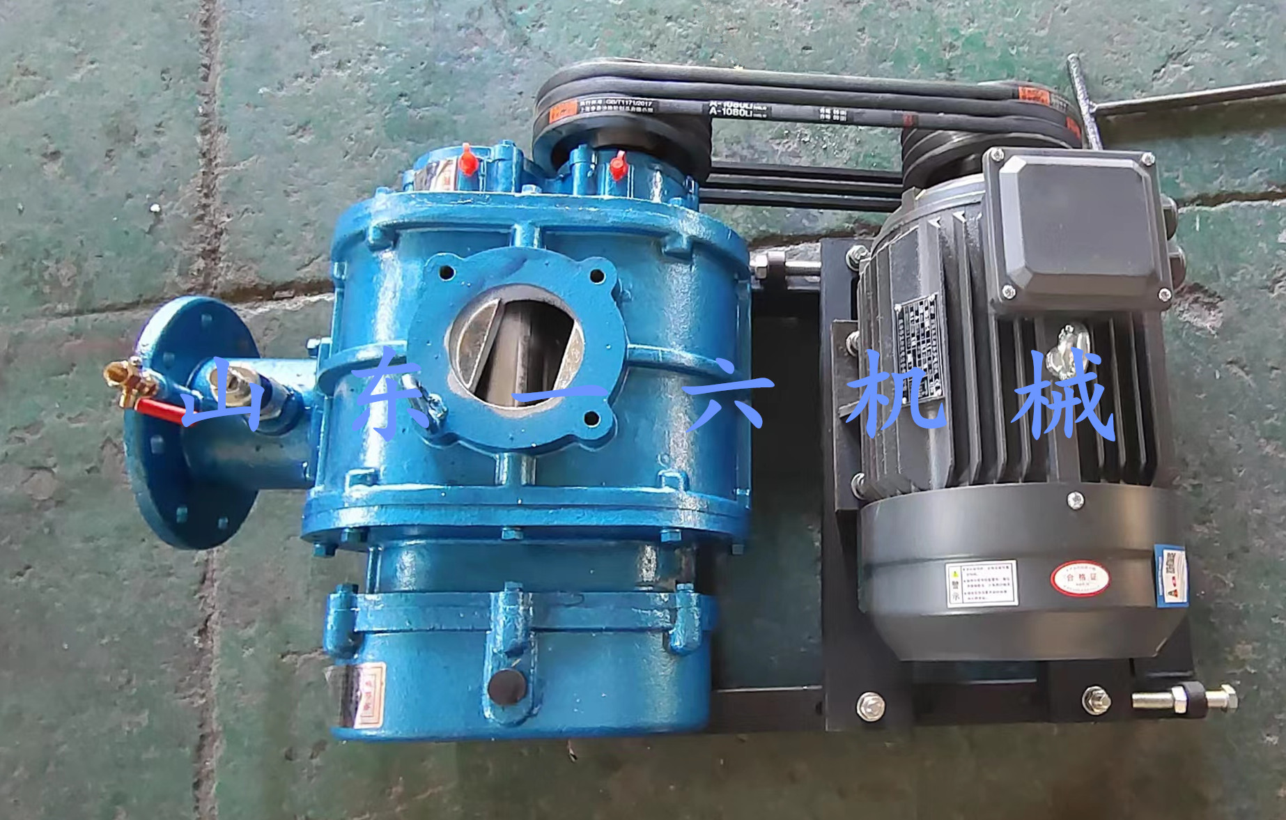 1701839677928817.jpg 1701839677928817.jpg